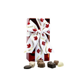 Galerie Au Chocolat Assorted Fine Chocolates exclusive to The Loop 200G