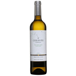 Chateau Clarke Miguel Torres Celeste Verdejo Rueda 2021 White wine   |   750 ml   |   Spain  Vallée du Duero